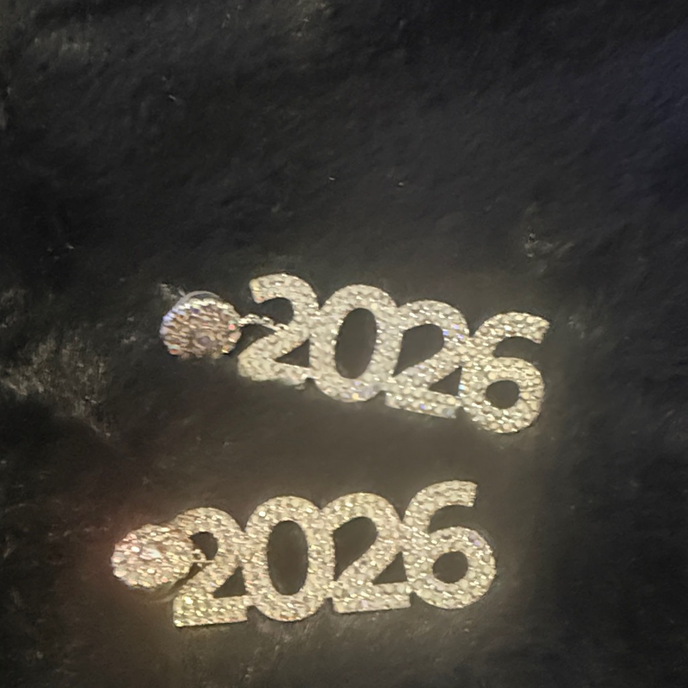 Elegant Silver 2026 Earrings